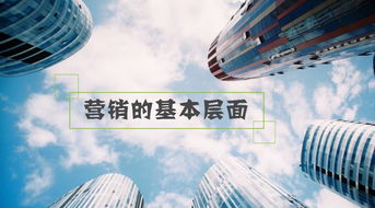 陈春花 无论营销模式怎么变，都要在这四个层面上作出努力